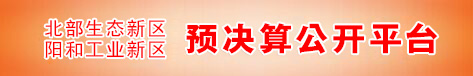 预决算公开平台