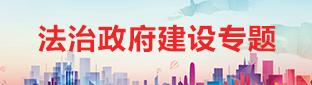 法治政府建设专题